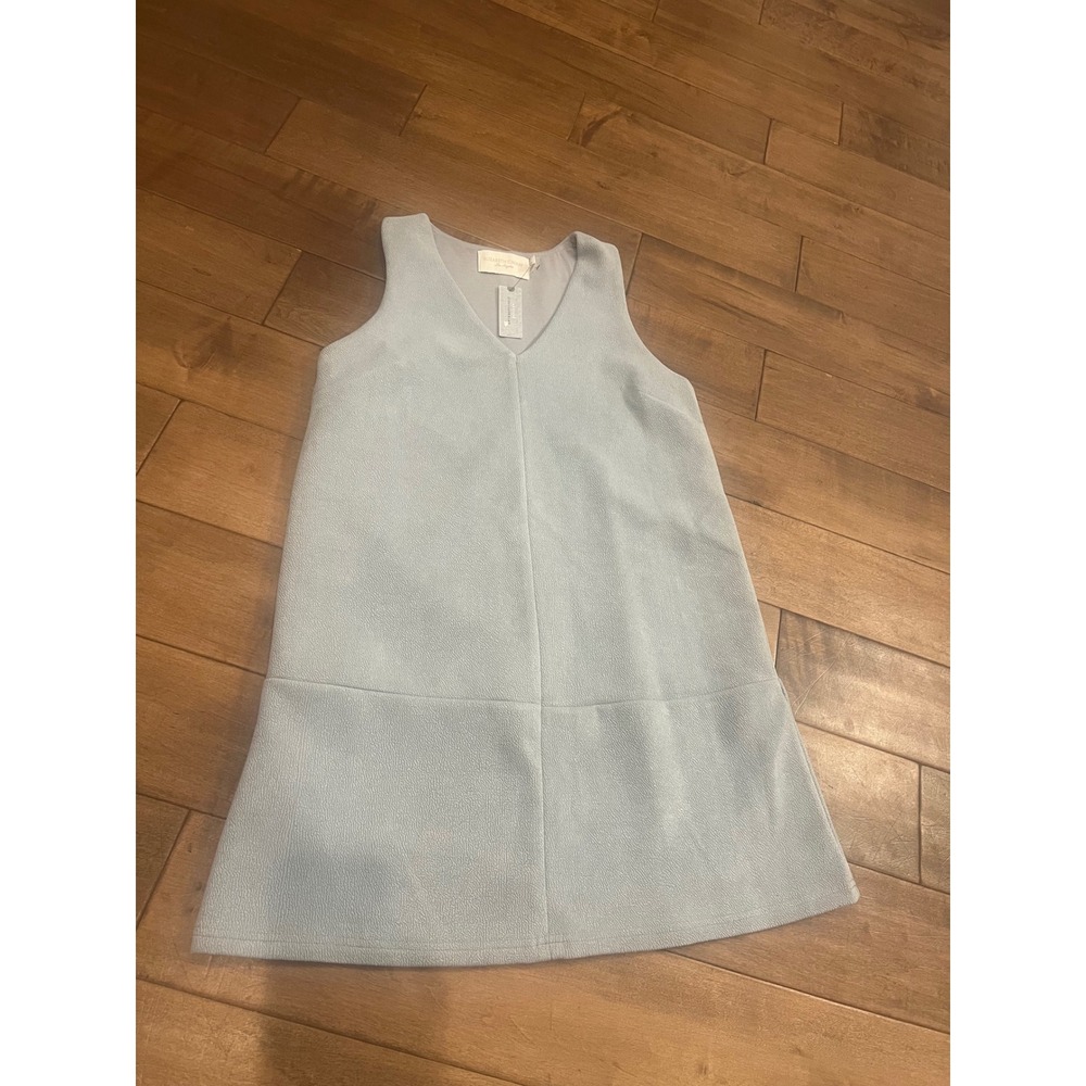 Elizabeth Crosby Anthropologie Light Blue Textured V-Neck Shift Dress Petite M